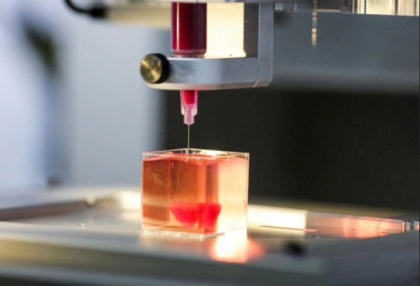 Impresión 3D de órganos humanos